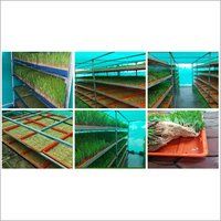 Hydroponic Unit
