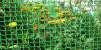 Fencing Net