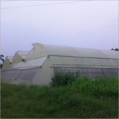 Green Poly House