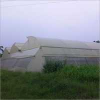 Green Poly House
